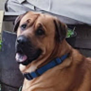 Meet your Posher, Wilma